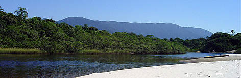 Rio Itaguaré, Bertioga, São Paulo, Brazil (Mata Atlântica) / &copy;: WWF-Brazil /  Instituto Ekos Brasil / R.A.F. Lima