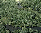 A study proves that the Brazilian Forest Law is no obstacle to the growth of the Brazilian agribusiness. 