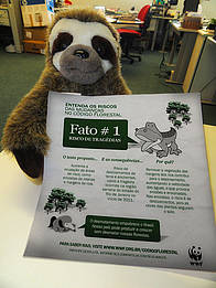 Fatos sobre as mudanças no Código Florestal. A preguiça Pri mostra o Fato 1. / ©: WWF-Brasil/Jorge Verlindo