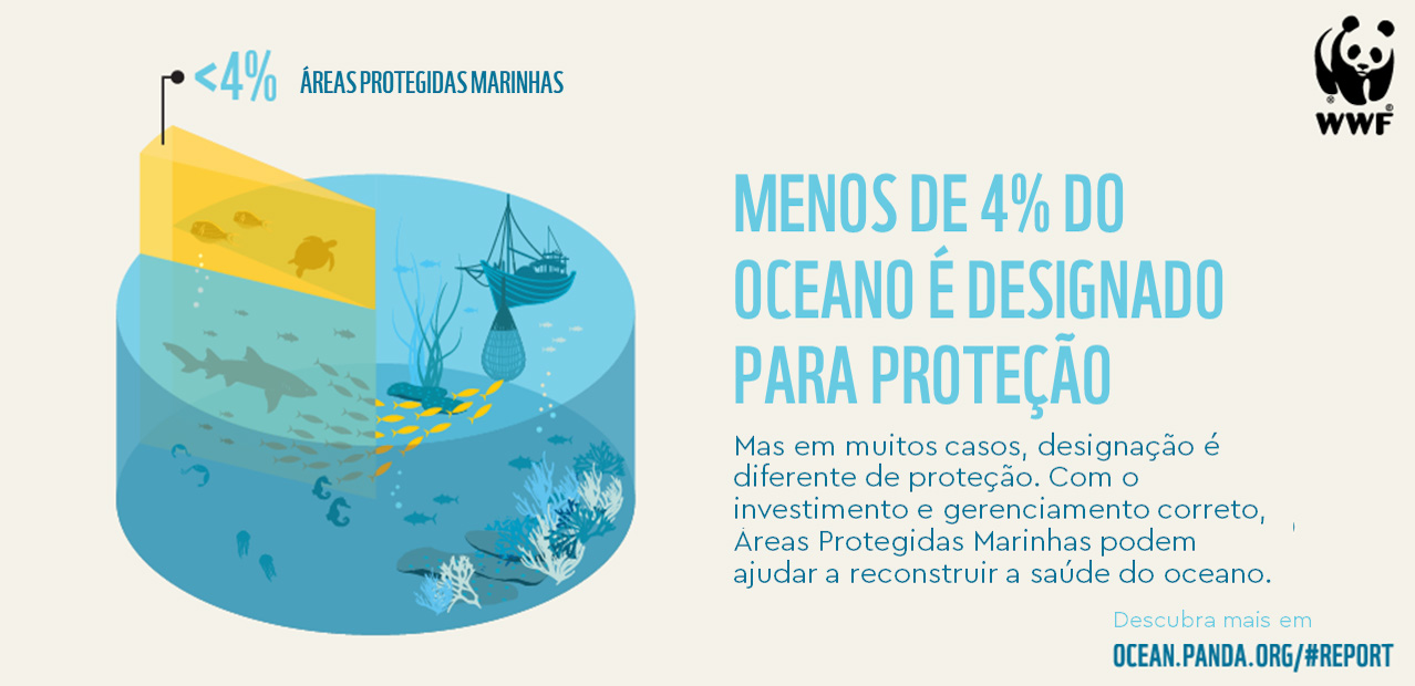 Áreas Protegidas Marinhas O Futuro Da Conservação Dos Oceanos Wwf Brasil 2373