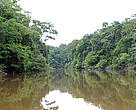 Rio Guariba, durante a Expedição Guariba-Roosevelt 2010.