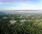 Vista aére de trecho de floresta amazônica no estado do Acre
